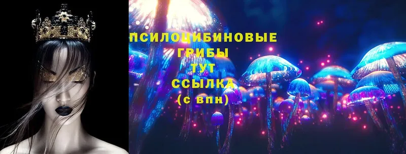 Псилоцибиновые грибы Psilocybe  что такое наркотик  Надым 